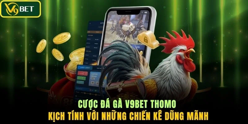 Cược đá gà V9BET Thomo kịch tính với những chiến kê dũng mãnh