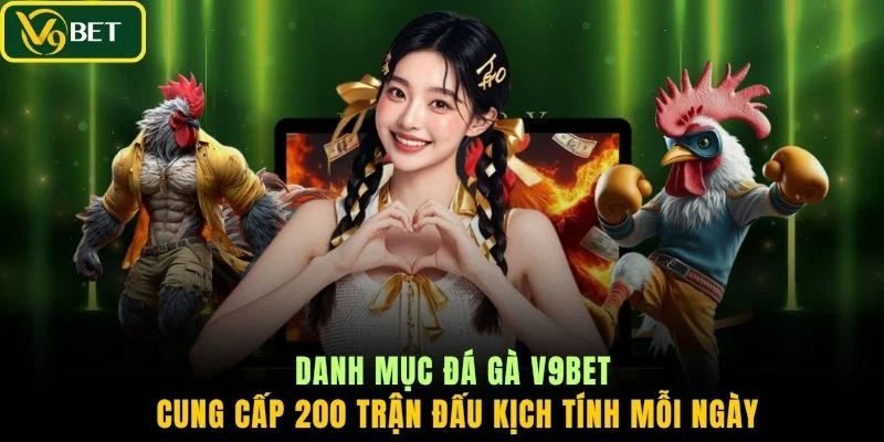 Danh mục đá gà V9BET cung cấp 200 trận đấu kịch tính mỗi ngày